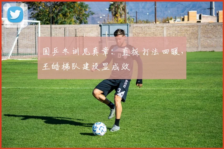 国乒冬训见真章：直板打法回暖，王皓梯队建设显成效