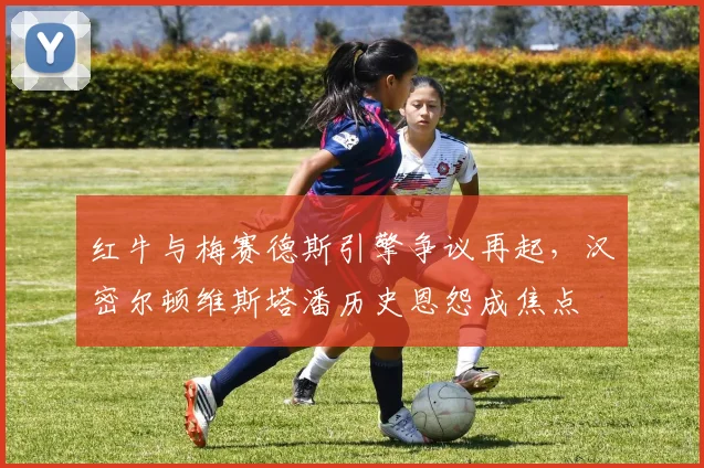 红牛与梅赛德斯引擎争议再起，汉密尔顿维斯塔潘历史恩怨成焦点